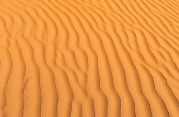 Background of th Red Sand Dunes in Wahiba Sands Desert.