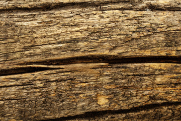 Dark brown wooden surface. Texture for background. Wooden background high quality texture close up. Can be used for design as a background or other. Copy space. Wooden black background.