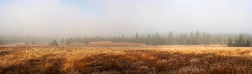 Obraz na płótnie Canvas foggy landscape in the morning _Izerskie mountains