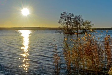 roślinność na jeziorze © witan