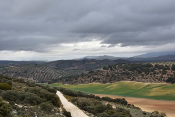 Fototapeta na wymiar Black clouds loom over the olive grove in Andalusia