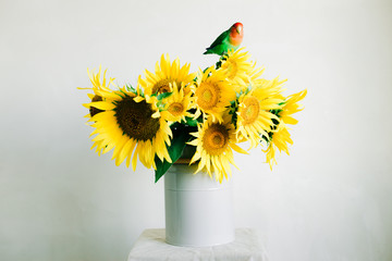 bouquet of bright yellow sunflower flowers with a lovebird parrot in a retro vase on a white background