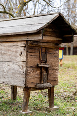 Vintage wooden beehives in the garden. 