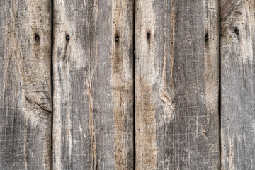 Texture of old wood grain. Raw plank
