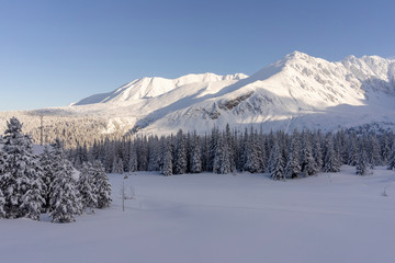 Winter afternoon in the Gasienicowa Valley. Tatra Mountains.