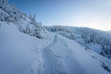 Fototapeta na wymiar Mountain trail in the snow. Western Tatras. Poland.