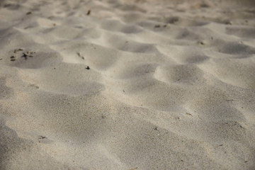 Fototapeta na wymiar piasek morski