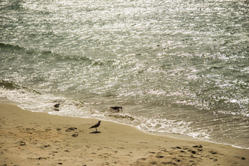 morze bałtyckie piękny krajobraz