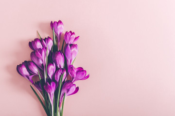 Layout from crocus flowers