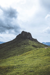 landscape in the mountains