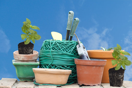 accessori da giardinaggio corda plastificata vasi e piantine basilico