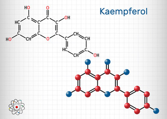 Kaempferol. C15H10O6 molecule. It is antioxidant, natural flavonol, type of flavonoid. Structural chemical formula and molecule model. Sheet of paper in a cage