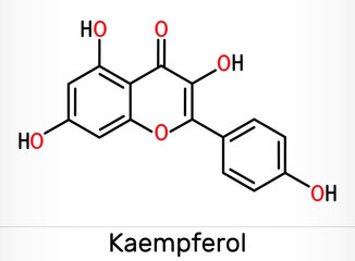 Fototapeta premium Kaempferol. C15H10O6 molecule. It is antioxidant, natural flavonol, type of flavonoid. Skeletal chemical formula