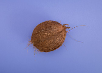 Whole raw natural coconut on purple background.