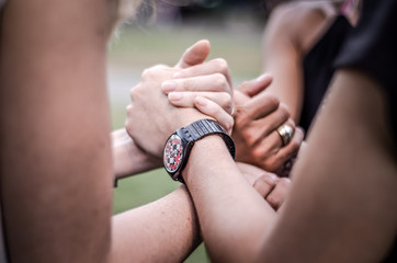 hands of the bride and groom