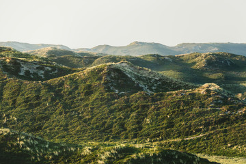 Sylt dunes covered with moss and grass. Summer landscape