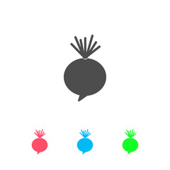 Beet icon flat.