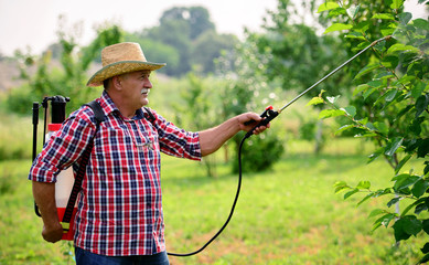 Orcharding. Farmer working in the garden with a plants. Agricultural concept