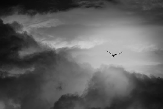 Volando al m&aacute;s all&aacute;