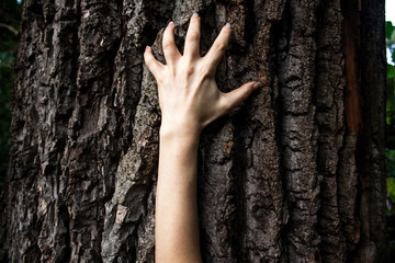 The woman's hand move on the tree. Can be used in the scary design in horror. A female hand with long nails against a dark background