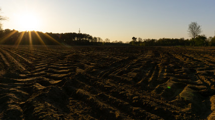 Farmland without plants in sunset