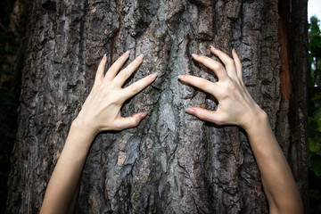 The woman's hands move on the tree. Can be used in the scary design in horror. A female hands with...