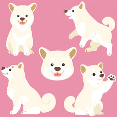 Set of flat colored white Shiba Inu illustrations