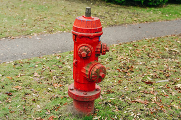 Red hydrant fire detail prevention system with green out of focus wood in background