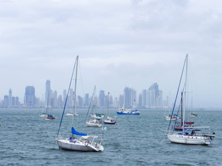 Fototapeta premium panama