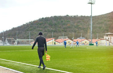 referee on the field during a football match