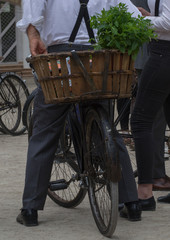 Obraz premium A man on his bike with vegetables in the basket, in the modernist era