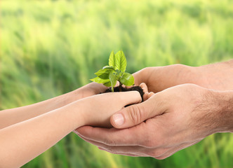 Hands of man and child with young plant outdoors. Earth day celebration