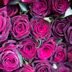 variety of colors near the Liberty store in London. Large bouquets in tin vases. Pink roses