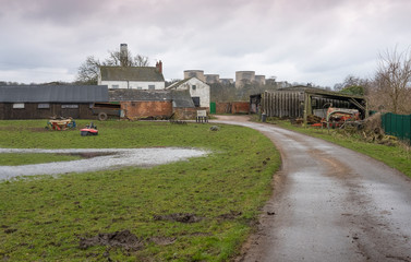 Farm road and buildings