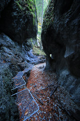 Sucha Bela gorge in Slovak Paradise National Park, Slovakia 