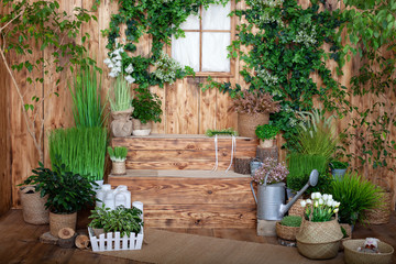 The interior of spring yard. Spring patio of a wooden house with green plants in pots. Gardening on steps of house. Veranda country house. Rustic terrace. Country veranda in spring decoration. Easter