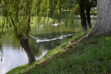 on the bank of the river, Fagaras, Transilvania, Romania