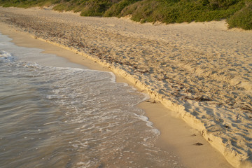 The shoreline with the creamy color of the sunset in Salento - southern Italy