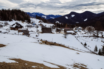 Winter in the mountain village Dzembronya with Chornohora ridge !