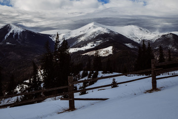 Winter in the mountain village Dzembronya with Chornohora ridge !