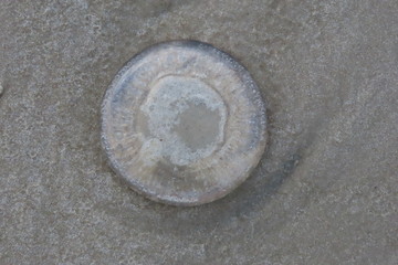 stone on sand