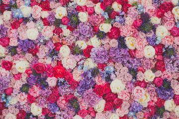 Beautiful wall made of red violet purple flowers, roses, tulips, press-wall, background, valentines...