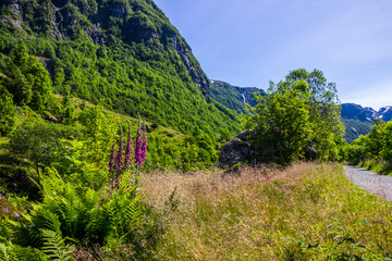 Fototapete bei efototapeten.de bestellen   