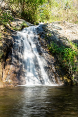 Fototapeta premium Cydr