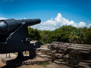 Historic cannon on Fort Pulaski walls in Tybee Island facing forest with blue sky in background