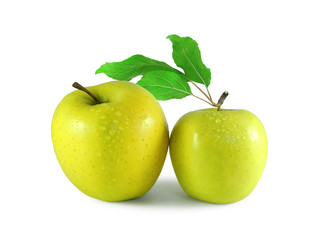 Two wet yellow apples covered with water drops with leaves isolated on white background