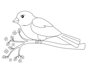 Little bird - sparrow sitting on a flowering branch - linear vector spring picture for coloring. Cute bird on a branch with young leaves and little flowers. Outline. Hand drawing