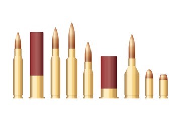 Set of bullets of different sizes vector illustration