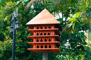 modern  wooden house for pigeons