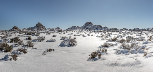 Fototapeta na wymiar Winter in the Desert
